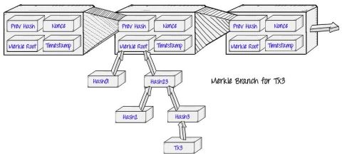 what is a merkle tree